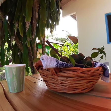 Casa Maya سانتا كاتالينا المظهر الخارجي الصورة