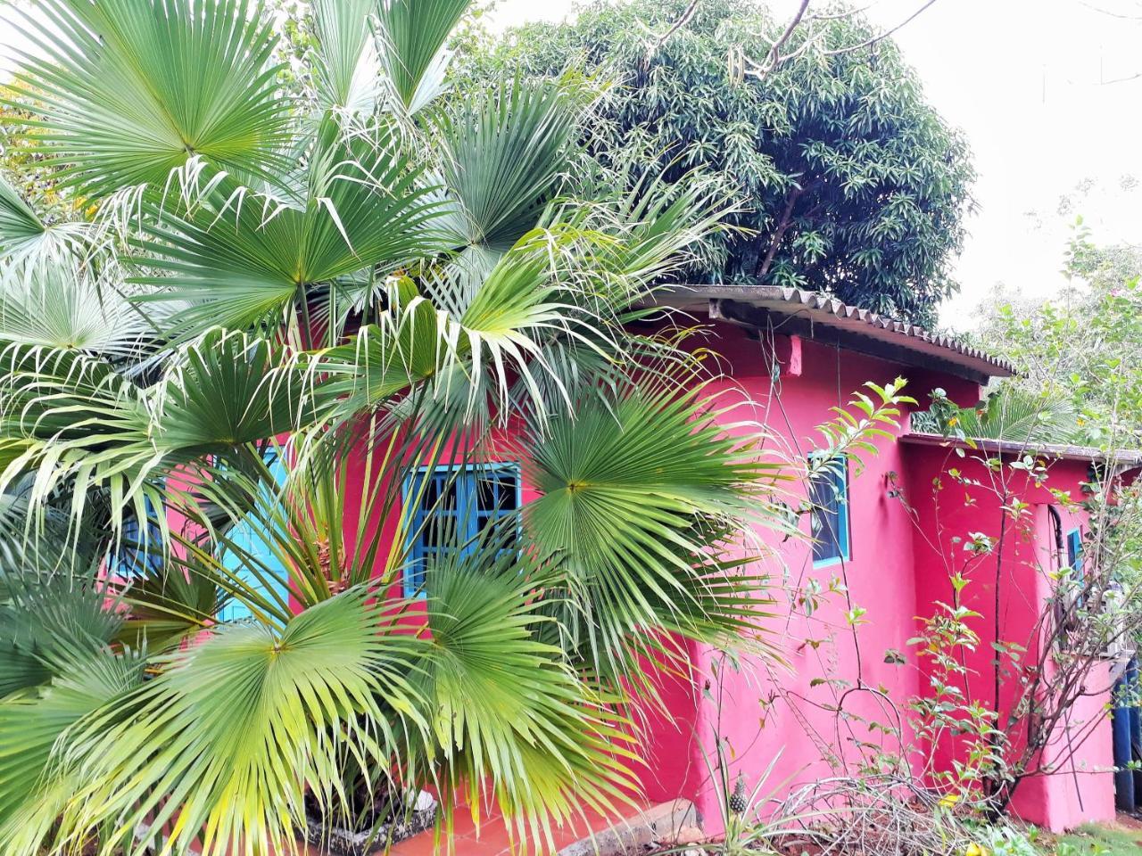 Casa Maya سانتا كاتالينا المظهر الخارجي الصورة